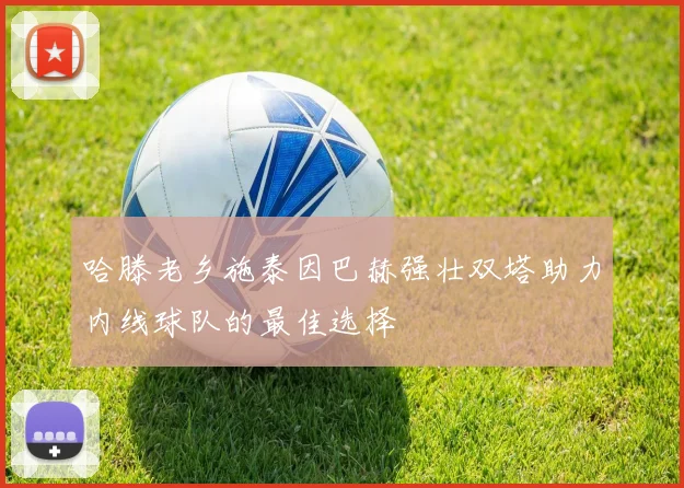 哈滕老乡施泰因巴赫强壮双塔助力内线球队的最佳选择